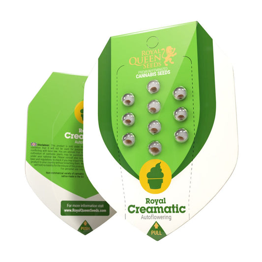 Royal Queen Seeds Royal Creamatic Autoflower