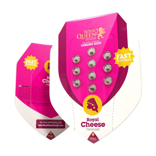 Royal Queen Seeds Royal Cheese