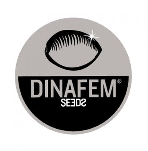 Dinafem logo